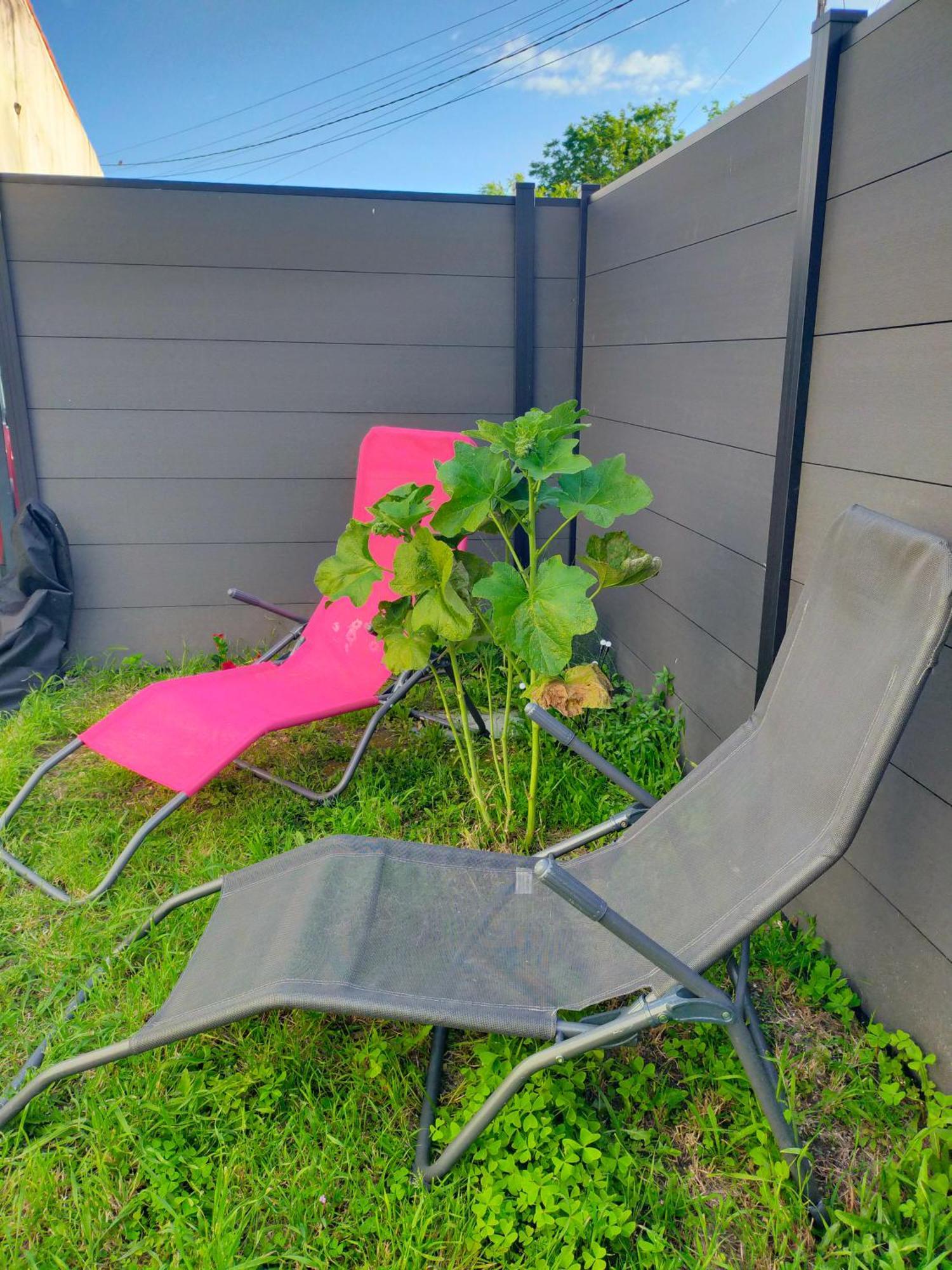 Soleil Villa Royan Eksteriør billede